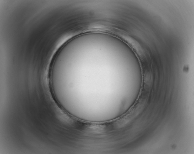 X0000103231466200808281419