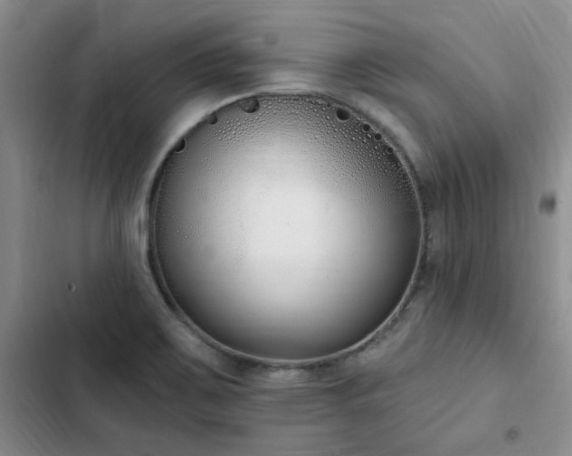 X0000103231467200808281419