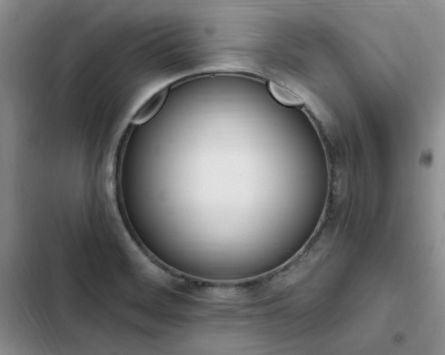 X0000103231468200808281419