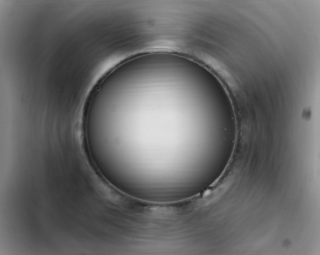 X0000103231469200808281419