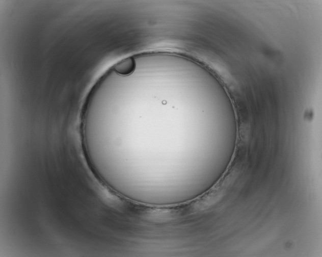 X0000103231470200808281419
