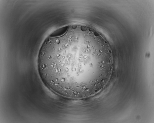 X0000103231471200808281419