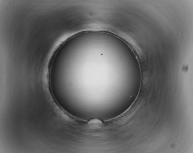 X0000103231472200808281419