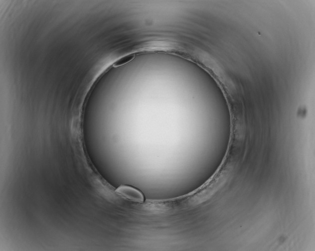 X0000103231473200808281419
