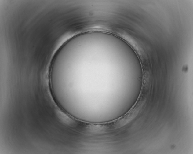 X0000103231474200808281419