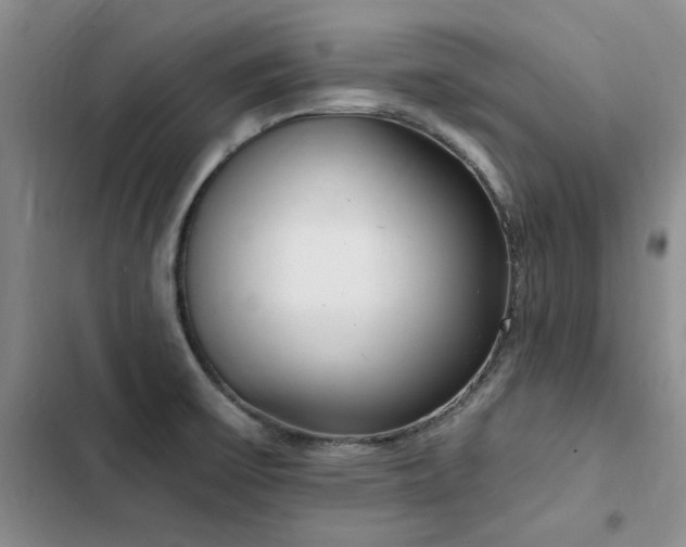 X0000103231475200808281419