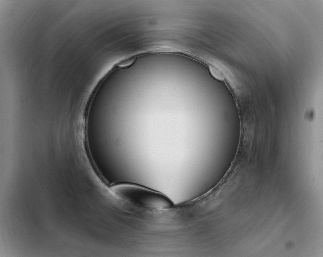 X0000103231476200808281419