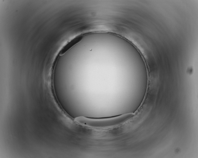 X0000103231477200808281419