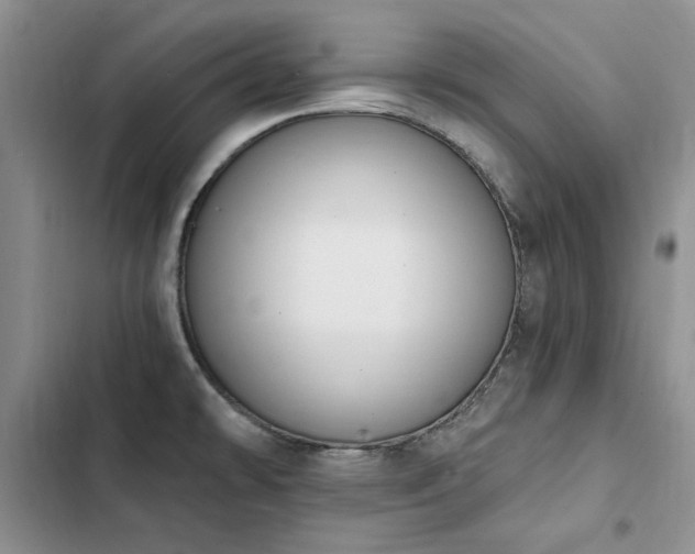 X0000103231478200808281419