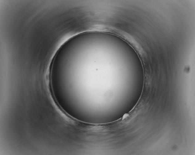 X0000103231479200808281419