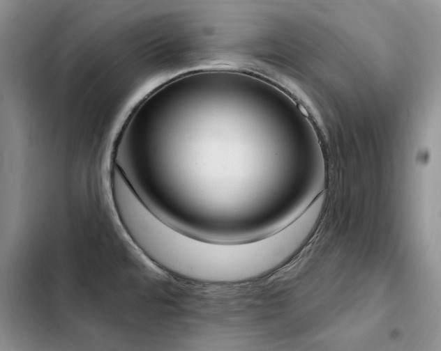 X0000103231480200808281419