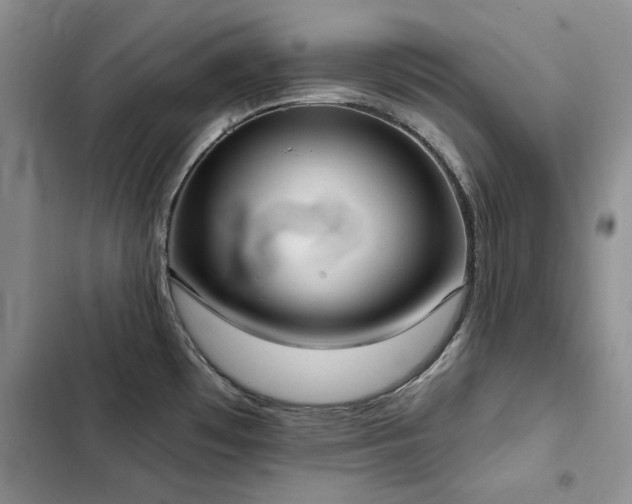 X0000103231481200808281419