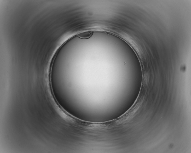 X0000103231482200808281419