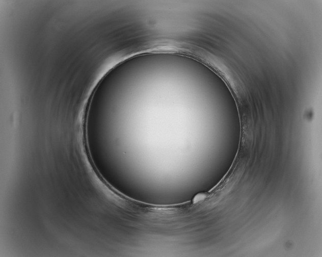 X0000103231483200808281419