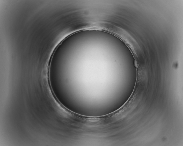 X0000103231484200808281419