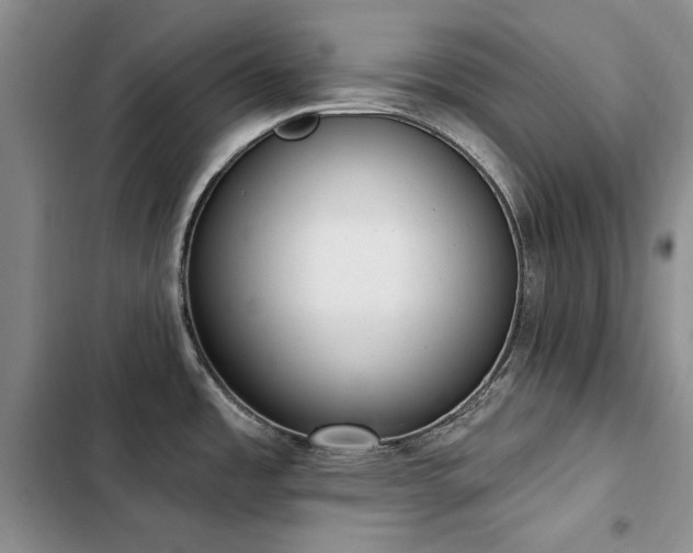 X0000103231485200808281419