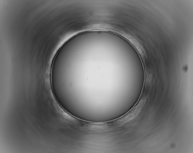 X0000103231486200808281419