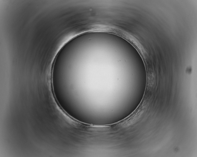 X0000103231487200808281419