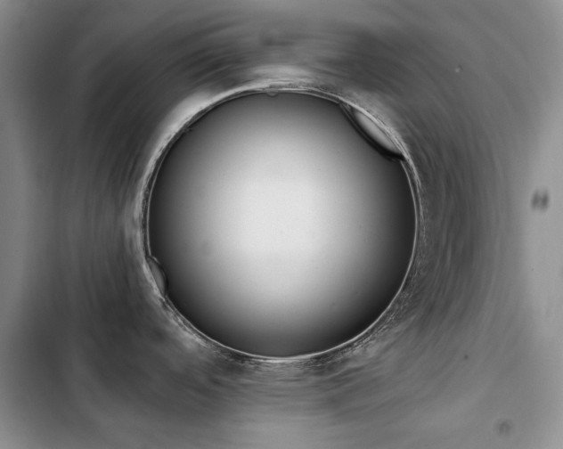 X0000103231488200808281419