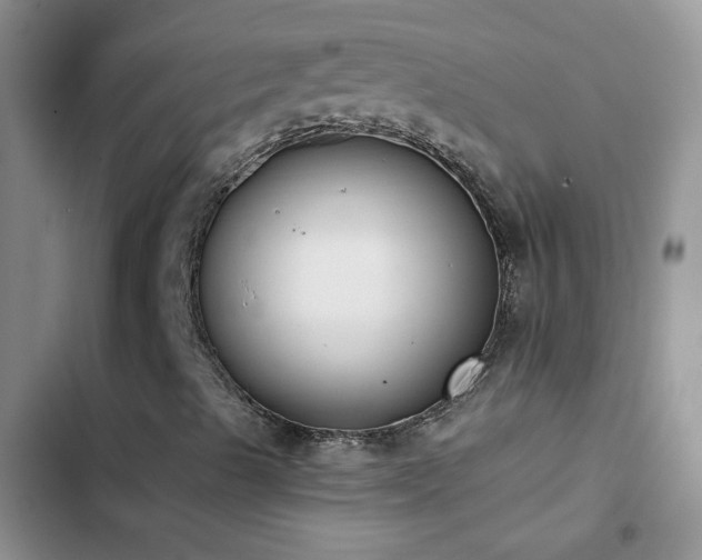 X0000103231489200808281418
