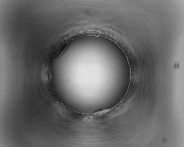 X0000103231490200808281418