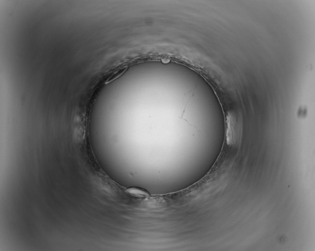 X0000103231491200808281418