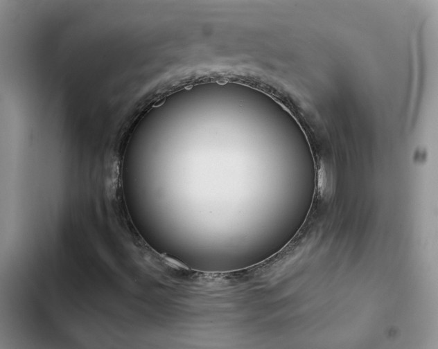 X0000103231492200808281418