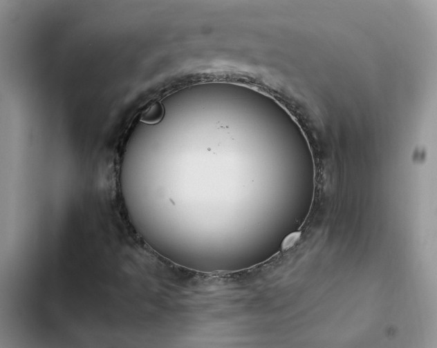X0000103231493200808281418