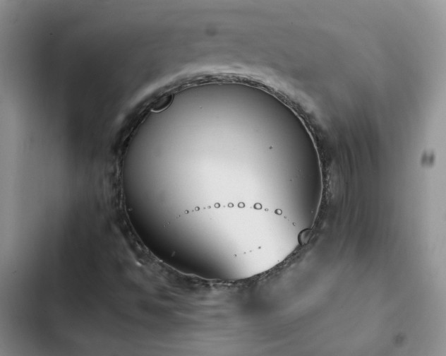 X0000103231494200808281418