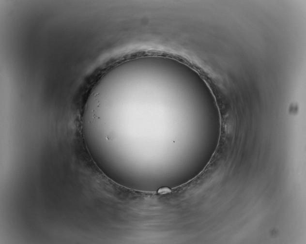 X0000103231495200808281418