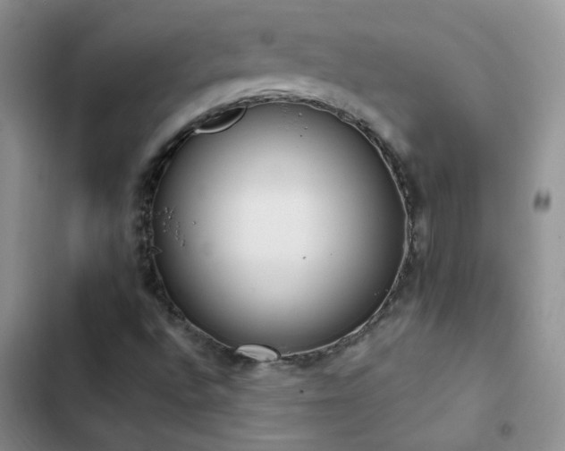 X0000103231496200808281418