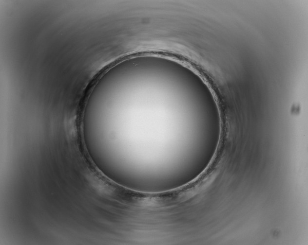 X0000103231497200808281418