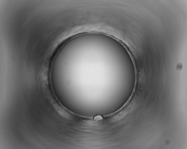 X0000103231499200808281418