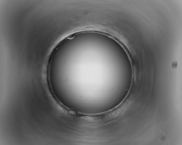 X0000103231500200808281418