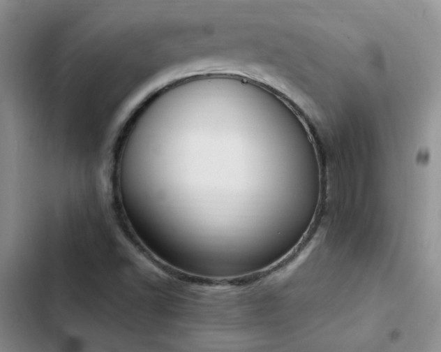 X0000103231502200808281418