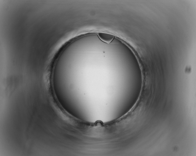 X0000103231503200808281418