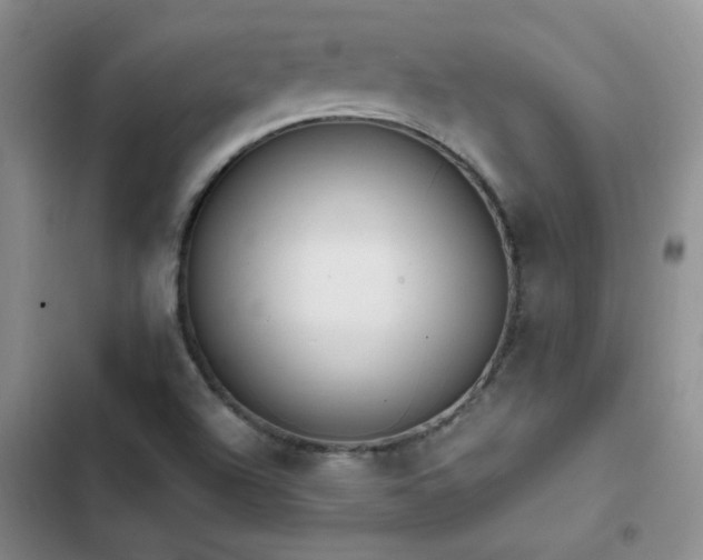 X0000103231504200808281418