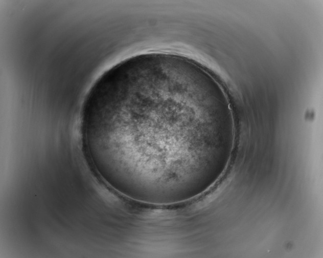 X0000103231506200808281419