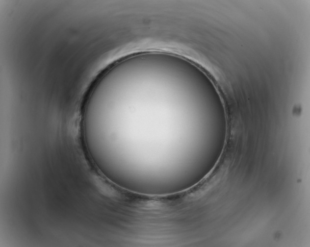 X0000103231507200808281419