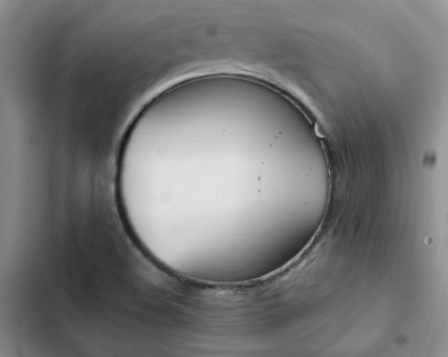 X0000103231508200808281419