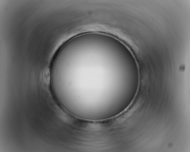 X0000103231509200808281419