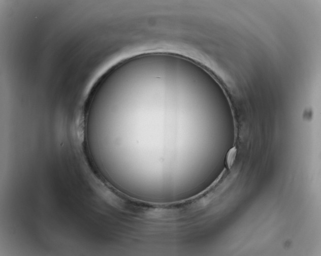 X0000103231510200808281419