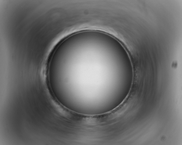 X0000103231511200808281419