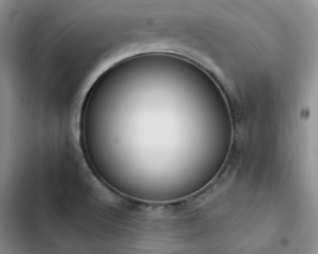 X0000103231512200808281419