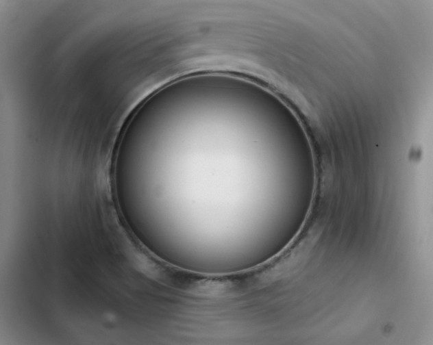 X0000103231513200808281419