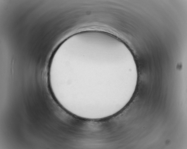 X0000103231514200808281419