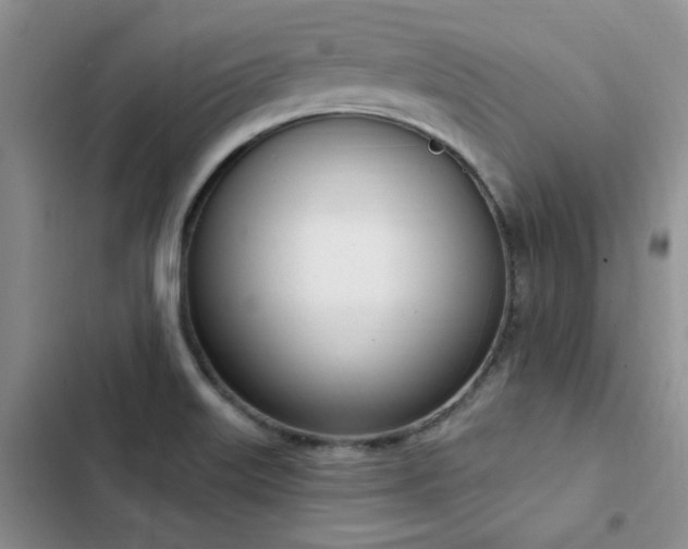 X0000103231515200808281419