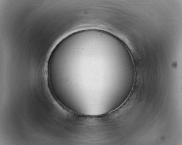 X0000103231516200808281419