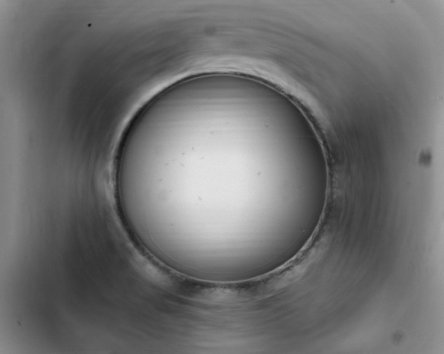 X0000103231517200808281419