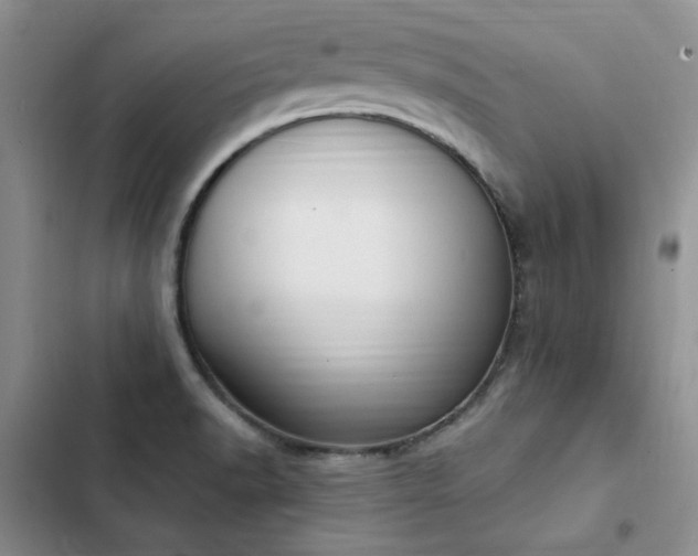 X0000103231518200808281419